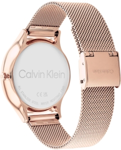 Купить Наручные часы Calvin Klein 25200102  в E-mobi