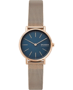 Купить Наручные часы Skagen SKW2837 в E-mobi