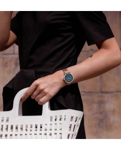 Купить Наручные часы Skagen SKW2837  в E-mobi