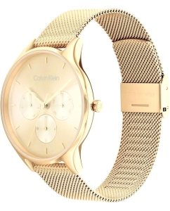 Купить Наручные часы Calvin Klein 25200103  в E-mobi