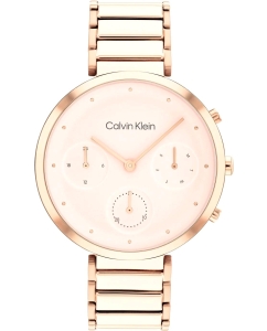Купить Наручные часы Calvin Klein 25200283 в E-mobi