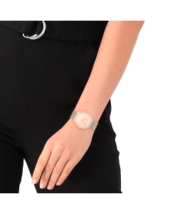 Купить Наручные часы Calvin Klein 25200247  в E-mobi