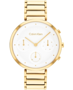 Купить Наручные часы Calvin Klein 25200284 в E-mobi