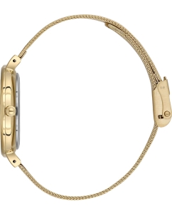 Купить Наручные часы Daniel Klein DK.1.13720-5  в E-mobi