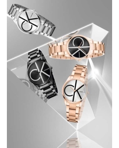 Купить Наручные часы Calvin Klein K4N23X46  в E-mobi