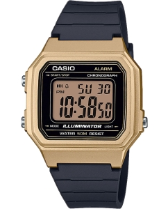 Купить Японские наручные часы Casio Collection W-217HM-9AVEF с хронографом в E-mobi