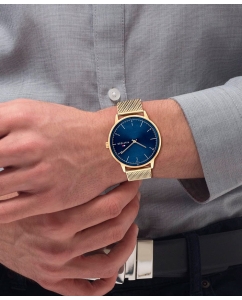 Купить Наручные часы Tommy Hilfiger 1791877  в E-mobi