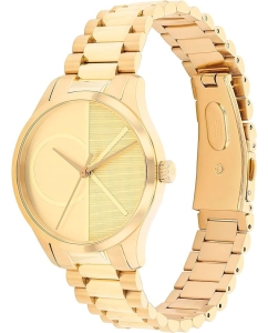 Купить Наручные часы Calvin Klein 25200346  в E-mobi