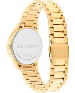 Купить Наручные часы Calvin Klein 25200346  в E-mobi