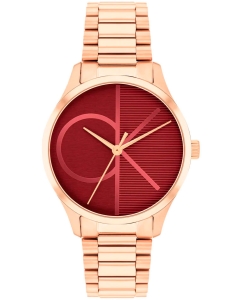 Купить Наручные часы Calvin Klein 25200347 в E-mobi