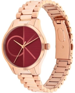 Купить Наручные часы Calvin Klein 25200347  в E-mobi