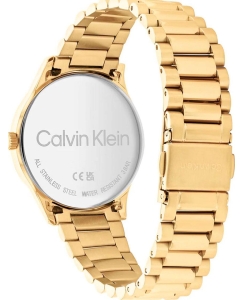 Купить Наручные часы Calvin Klein 25200043  в E-mobi
