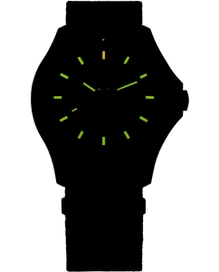 Купить Швейцарские наручные часы Traser TR_111069  в E-mobi