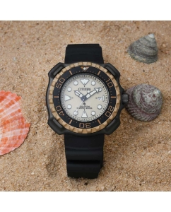 Купить Японские титановые наручные часы Citizen BN0226-10P  в E-mobi