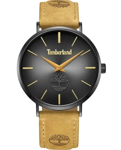 Купить Наручные часы Timberland TDWGA0011401 в E-mobi