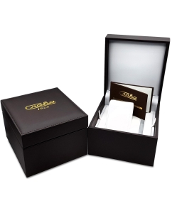 Купить Российские механические наручные часы Слава 3042707/100-8205  в E-mobi