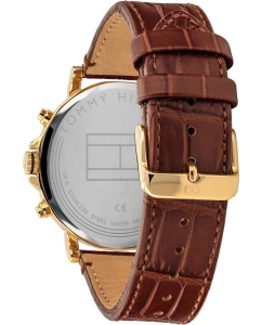 Купить Наручные часы Tommy Hilfiger 1710380  в E-mobi