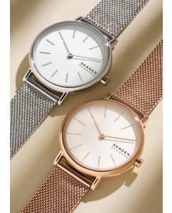 Купить Наручные часы Skagen SKW2692  в E-mobi