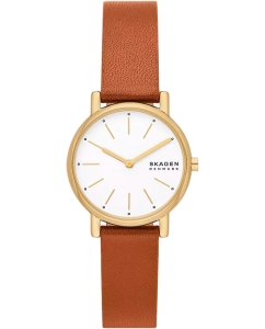 Купить Наручные часы Skagen SKW3121 в E-mobi