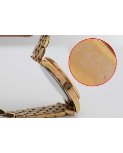 Купить Наручные часы Rodania R11002-ucenka  в E-mobi