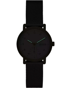 Купить Наручные часы Skagen SKW3101  в E-mobi