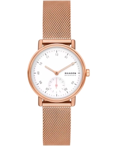 Купить Наручные часы Skagen SKW3099 в E-mobi