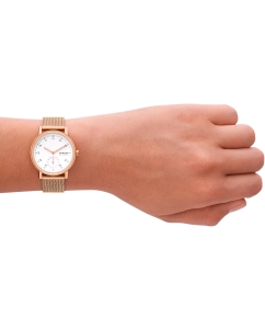Купить Наручные часы Skagen SKW3099  в E-mobi