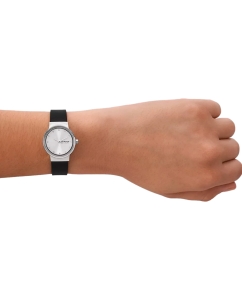 Купить Наручные часы Skagen SKW3119  в E-mobi