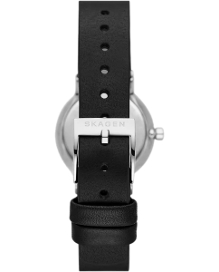 Купить Наручные часы Skagen SKW3119  в E-mobi