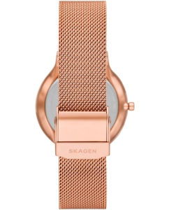 Купить Наручные часы Skagen SKW3020  в E-mobi