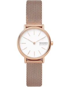 Купить Наручные часы Skagen SKW2694 в E-mobi