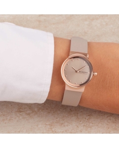 Купить Наручные часы Skagen SKW3005  в E-mobi