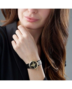 Купить Наручные часы Vivienne Westwood VV006BKGD  в E-mobi