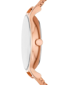 Купить Наручные часы Skagen SKW3150  в E-mobi