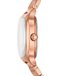 Купить Наручные часы Skagen SKW3166  в E-mobi