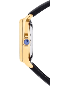 Купить Швейцарские механические наручные часы DAVOSA DAV.16618916V  в E-mobi