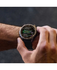 Купить Умные часы Garmin Fenix E AMOLED Slate Gray 010-03025-01  в E-mobi