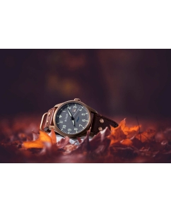 Купить Швейцарские механические наручные часы Le Jour LJ-FL-002  в E-mobi