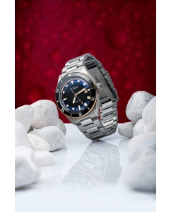 Купить Швейцарские механические наручные часы Le Jour LJ-SCD-001  в E-mobi