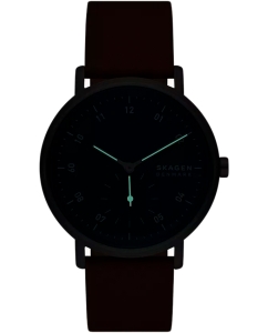 Купить Наручные часы Skagen SKW6888  в E-mobi