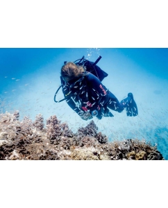 Купить Наручные часы Suunto ZOOP NOVO BLUE SS021644000  в E-mobi