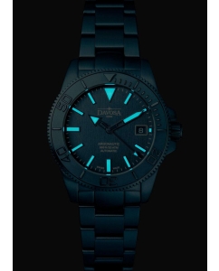 Купить Швейцарские механические наручные часы DAVOSA DAV.16154040  в E-mobi