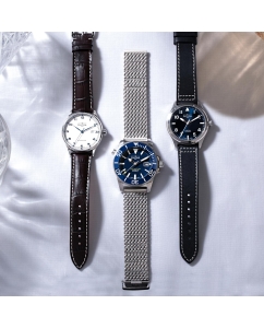 Купить Швейцарские механические наручные часы DAVOSA DAV.16152844  в E-mobi