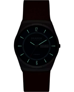 Купить Титановые наручные часы Skagen SKW6906  в E-mobi