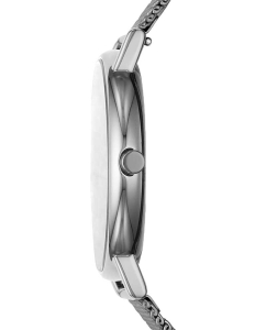 Купить Наручные часы Skagen SKW6577  в E-mobi