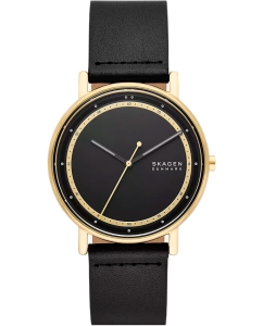 Купить Наручные часы Skagen SKW6897 в E-mobi