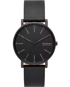 Купить Наручные часы Skagen SKW6902 в E-mobi