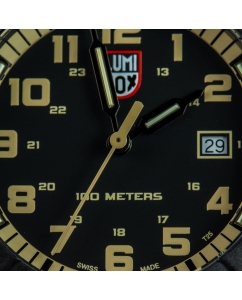 Купить Наручные часы Luminox XS.0333 LEATHERBACK SEA TURTLE GIANT 0320 SERIES  в E-mobi