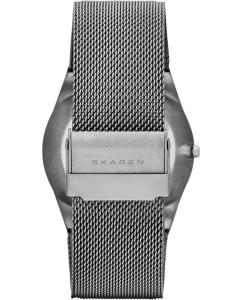 Купить Титановые наручные часы Skagen SKW6078  в E-mobi