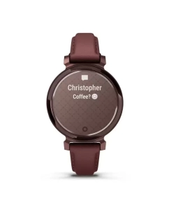 Купить Смарт-часы Garmin Lily 2 Classic 35.4mm Bronze  в E-mobi